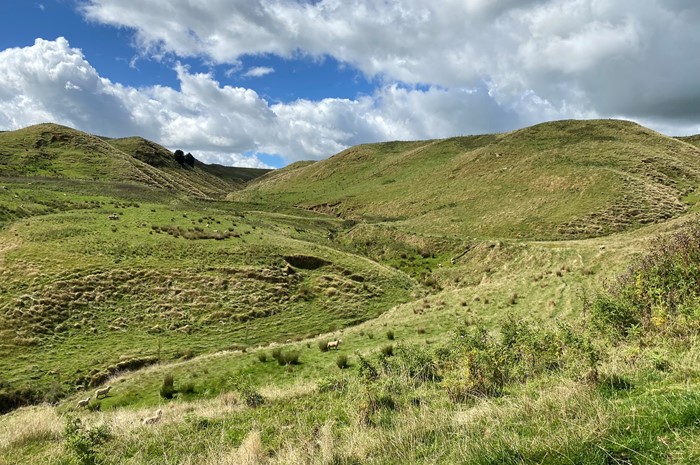 SLUI exceeds set targets for 2022-23 financial year