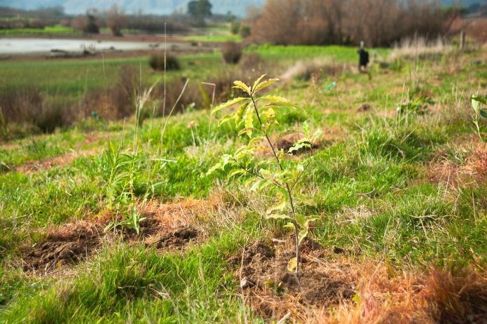 Horizons Regional Freshwater Community Grant open for applications