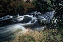 Ruapehu District benefits from Environmental Grants