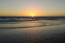 South Beach clean-up celebrates national Seaweek