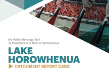 Status report on Lake Horowhenua health now available