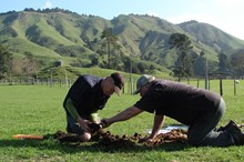 SLUI case study in the Ruapehu district