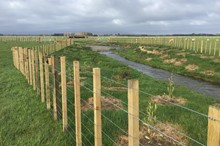 Funding still available for fencing and planting