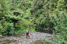 Summer swim spot monitoring begins in Horizons Region