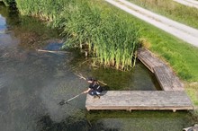 Time to make a splash as Horizons dives into swim spot monitoring season