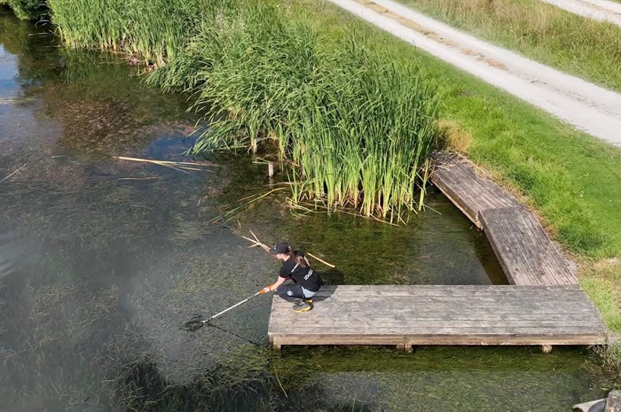 Time to make a splash as Horizons dives into swim spot monitoring season