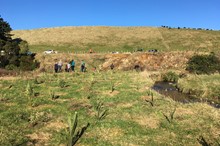 Manawatū River Leaders’ Accord community grants funding awarded