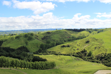 Public invited to hill country farm field day