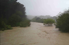 Low-lying land impacted alongside Pohangina River