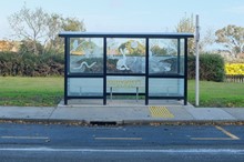 Whanganui bus shelters significantly upgraded after Horizons and Whanganui District Council collaboration