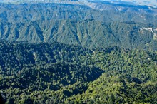 Council prosecutes NZL Forestry Group Limited for RMA offences