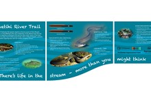 Grants awarded to community groups protecting and enhancing the Whangaehu Catchment