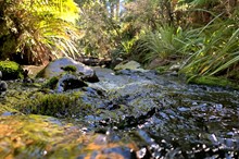 Horizons Regional Freshwater Community Grant open for applications soon