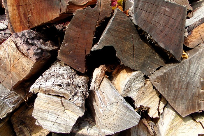 Collect good wood now for winter - Horizons Regional Council