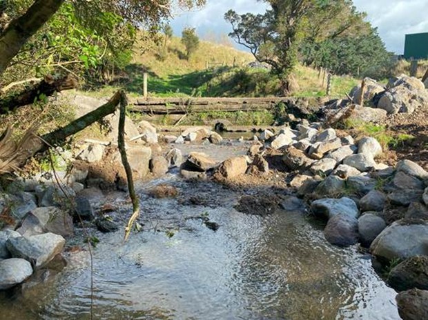upper mangapukatea stream.jpg