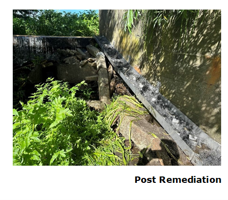 Koitiaka stream remediation.png